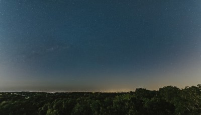 outdoors,sky,tree,no humans,night,star (sky),nature,night sky,scenery,forest,starry sky,horizon,landscape,star (symbol),ocean