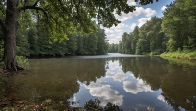 outdoors,sky,day,cloud,water,tree,blue sky,no humans,sunlight,cloudy sky,grass,nature,scenery,forest,reflection,river,landscape,lake,reflective water,signature,road,puddle,path