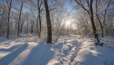 solo,1boy,weapon,outdoors,sky,day,sword,cloud,signature,tree,no humans,shadow,sunlight,nature,scenery,snow,forest,sun,winter,bare tree,footprints,blue sky,coat,walking,road,landscape,path,sunrise