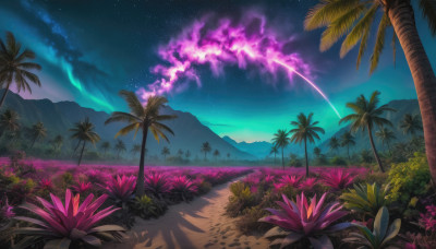 flower, outdoors, sky, cloud, tree, no humans, night, star (sky), nature, night sky, scenery, starry sky, mountain, palm tree, shooting star, aurora