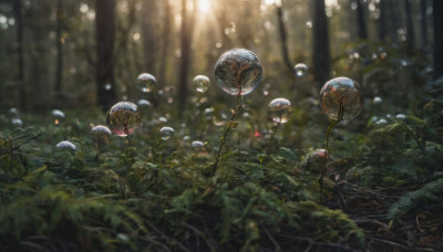 outdoors, blurry, tree, no humans, depth of field, leaf, plant, nature, scenery, forest, bubble