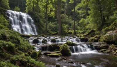 outdoors,day,water,tree,no humans,grass,nature,scenery,forest,rock,river,waterfall,moss,stream,signature,sunlight,landscape