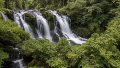 outdoors,day,water,tree,no humans,nature,scenery,forest,river,waterfall,leaf,landscape,moss