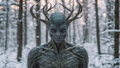 solo, looking at viewer, closed mouth, upper body, outdoors, blurry, tree, no humans, blurry background, nature, snow, forest, monster, antlers