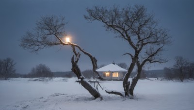 outdoors,sky,tree,no humans,window,night,building,nature,scenery,snow,lantern,road,lamp,house,winter,lamppost,bare tree,snowing