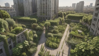 outdoors,sky,day,tree,no humans,window,plant,ground vehicle,building,scenery,city,cityscape,ruins,skyscraper,moss,overgrown,post-apocalypse,bush