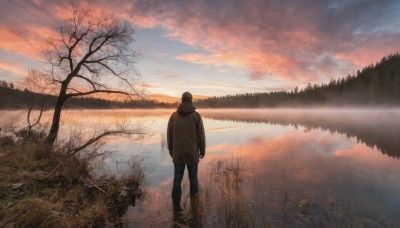 solo,short hair,long sleeves,1boy,standing,jacket,male focus,outdoors,sky,pants,cloud,hood,water,from behind,tree,hoodie,hood down,cloudy sky,grass,building,nature,scenery,reflection,walking,sunset,facing away,bare tree,twilight,lake,reflective water,coat,bird,brown jacket,jeans,arms at sides,horizon,wide shot,brown coat,ambiguous gender