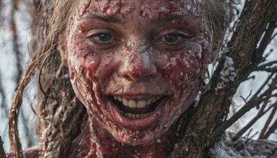 1girl,solo,long hair,looking at viewer,smile,open mouth,blonde hair,:d,outdoors,teeth,blurry,black eyes,tree,lips,grey eyes,blood,blurry background,portrait,nature,snow,close-up,forest,blood on face,realistic,bare tree,horror (theme),1boy,male focus,tongue