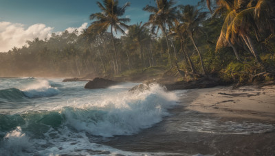 outdoors, sky, day, cloud, water, tree, blue sky, dutch angle, no humans, ocean, beach, cloudy sky, nature, scenery, forest, sand, palm tree, waves, shore