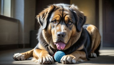 HQ,solo,looking at viewer,open mouth,brown eyes,tongue,indoors,tongue out,blurry,no humans,saliva,blurry background,animal,ball,dog,realistic,animal focus,whiskers,full body,lying,collar,on stomach,claws,pet,puppy