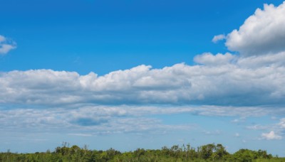 outdoors,sky,day,cloud,tree,blue sky,no humans,cloudy sky,grass,plant,nature,scenery,forest