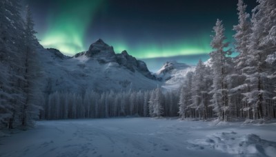 outdoors,sky,tree,no humans,night,star (sky),nature,night sky,scenery,snow,forest,starry sky,snowing,mountain,winter,bare tree,landscape,pine tree,aurora,rock