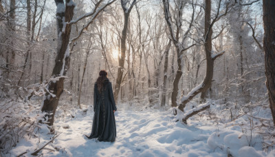 solo, brown hair, 1boy, standing, male focus, outdoors, hood, tree, nature, scenery, snow, forest, winter, bare tree