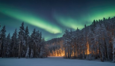 outdoors,sky,cloud,tree,no humans,night,fire,star (sky),nature,night sky,scenery,snow,forest,starry sky,mountain,winter,bare tree,pine tree,aurora