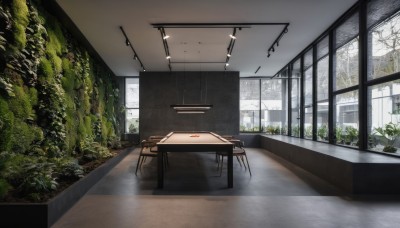 day,indoors,tree,no humans,window,shadow,chair,table,plant,building,scenery,desk,bare tree,ceiling light