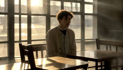 HQ,solo,looking at viewer,short hair,brown hair,shirt,black hair,long sleeves,1boy,sitting,closed mouth,jacket,white shirt,upper body,male focus,day,indoors,vest,tree,window,buttons,shadow,chair,formal,table,sunlight,suit,brown jacket,light rays,realistic,blue eyes,parted lips,open clothes,coat,looking away,building,reflection,looking afar,cafe,looking outside