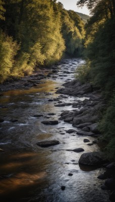 outdoors,day,water,tree,no humans,sunlight,grass,nature,scenery,forest,rock,bush,river,landscape,stream,sky,cloud,plant