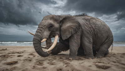 outdoors, horns, sky, cloud, no humans, ocean, animal, beach, cloudy sky, realistic, sand, horizon, tusks