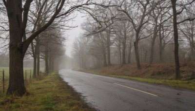 outdoors,sky,day,tree,no humans,sunlight,grass,nature,scenery,forest,road,bush,bare tree,landscape,fog,path,cloud,cloudy sky,fence,field