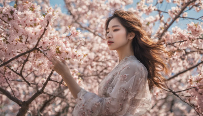 1girl, solo, long hair, brown hair, brown eyes, upper body, flower, outdoors, parted lips, sky, day, blurry, from side, tree, lips, cherry blossoms, realistic, branch