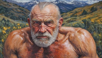 solo,looking at viewer,1boy,closed mouth,upper body,flower,white hair,male focus,outdoors,sky,day,muscular,facial hair,scar,beard,topless male,mountain,realistic,mustache,sunflower,bald,manly,field,old,old man,flower field,wrinkled skin