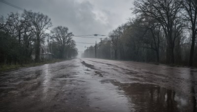 outdoors,sky,day,cloud,water,tree,no humans,cloudy sky,grass,building,nature,scenery,forest,reflection,rain,road,power lines,lamppost,bare tree,utility pole,puddle,fog,grey sky,overcast,monochrome,bush,river