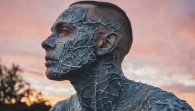 solo,1boy,male focus,outdoors,sky,cloud,blurry,from side,tree,no humans,profile,blurry background,portrait,science fiction,realistic,bald,alien,closed mouth,helmet,cloudy sky,looking up,looking afar