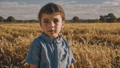 solo,looking at viewer,short hair,blue eyes,brown hair,shirt,1boy,closed mouth,upper body,short sleeves,male focus,outdoors,sky,day,collared shirt,cloud,tree,cloudy sky,blue shirt,child,realistic,male child,field,smile,black hair,aged down,wheat