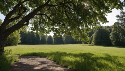 outdoors,sky,day,tree,blue sky,no humans,shadow,sunlight,grass,nature,scenery,forest,road,bush,landscape,path,cloud,signature,plant,shade,field,dappled sunlight