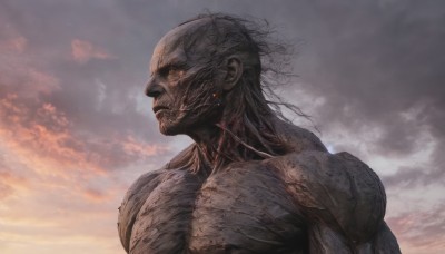 solo,1boy,upper body,male focus,outdoors,sky,cloud,muscular,cloudy sky,veins,monster,realistic,bald,alien,closed mouth,from side,profile,portrait