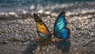 outdoors, wings, blurry, no humans, depth of field, bug, butterfly, scenery, light particles, bokeh, butterfly wings