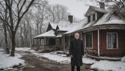 solo,looking at viewer,short hair,blonde hair,shirt,long sleeves,1boy,standing,white hair,male focus,outdoors,necktie,pants,tree,coat,window,facial hair,black pants,building,scenery,snow,black coat,snowing,house,old,winter,old man,bare tree,closed mouth,grey hair,sky,glasses,black necktie,door,grey sky