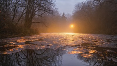 outdoors,sky,cloud,water,tree,no humans,sunlight,nature,scenery,forest,reflection,sunset,sun,bare tree,river,cloudy sky,grass,lens flare,landscape,lake,sunrise