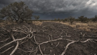 outdoors,sky,cloud,tree,no humans,traditional media,cloudy sky,grass,plant,nature,scenery,forest,branch,bare tree,landscape,monochrome,field