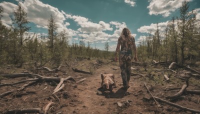 solo,1boy,weapon,male focus,outdoors,sky,day,cloud,from behind,tree,dutch angle,cloudy sky,grass,nature,scenery,forest,walking,standing,hood,blue sky,rock