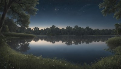 outdoors,sky,cloud,water,tree,no humans,night,grass,plant,star (sky),nature,night sky,scenery,forest,starry sky,reflection,river,lake,reflective water,signature,landscape