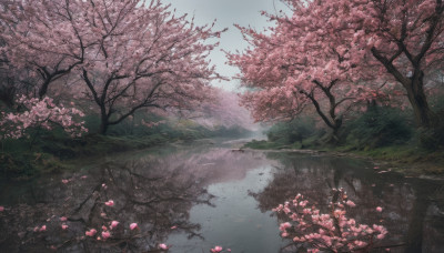 outdoors, sky, day, water, tree, no humans, cherry blossoms, nature, scenery, reflection, road, river, landscape