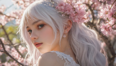 1girl, solo, long hair, looking at viewer, hair ornament, jewelry, flower, white hair, earrings, parted lips, looking back, hair flower, blurry, lips, grey eyes, depth of field, blurry background, cherry blossoms, portrait, realistic