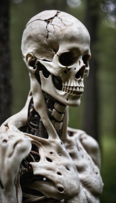 solo,1boy,upper body,male focus,teeth,blurry,no humans,depth of field,blurry background,1other,skull,monster,realistic,ribs,skeleton,bone,alien,spine,earrings,robot,science fiction,veins,bald,damaged,horror (theme),mechanical parts