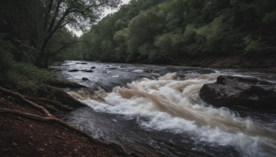 outdoors,day,water,tree,no humans,nature,scenery,forest,rock,river,waves,landscape,shore