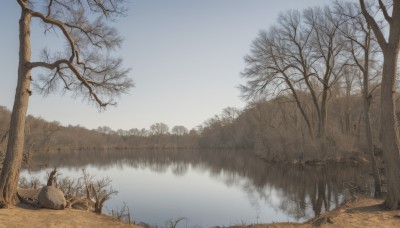 solo,outdoors,sky,day,water,tree,blue sky,pokemon (creature),no humans,grass,nature,scenery,forest,reflection,bare tree,rock,river,landscape,lake,fog