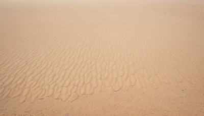 outdoors,water,no humans,bird,ocean,traditional media,beach,scenery,sand,shore,desert,footprints,1girl,monochrome,comic