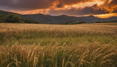 outdoors,sky,cloud,tree,no humans,cloudy sky,grass,nature,scenery,sunset,mountain,field,evening,landscape,mountainous horizon,orange sky,hill