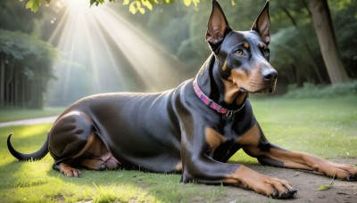 HQ,solo,brown eyes,closed mouth,full body,outdoors,lying,day,blurry,collar,tree,no humans,animal,leaf,sunlight,cat,grass,on stomach,nature,forest,dog,light rays,realistic,sunbeam,animal focus,looking at viewer,closed eyes,bush,dappled sunlight,animal collar