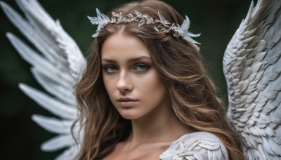 1girl,solo,long hair,looking at viewer,blue eyes,brown hair,hair ornament,green eyes,parted lips,wings,blurry,lips,grey eyes,portrait,feathered wings,angel wings,realistic,nose,white wings,angel,head wreath,simple background,brown eyes,tiara,feathers