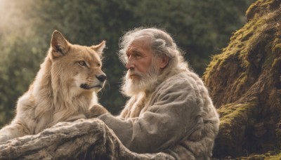 1boy,upper body,white hair,male focus,outdoors,day,signature,blurry,looking at another,from side,tree,profile,blurry background,facial hair,animal,nature,beard,dog,realistic,old,old man,wolf,wrinkled skin,long sleeves,closed mouth,forest,fluffy