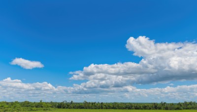 outdoors,sky,day,cloud,tree,blue sky,no humans,cloudy sky,grass,nature,scenery,forest,field,summer,landscape,bird