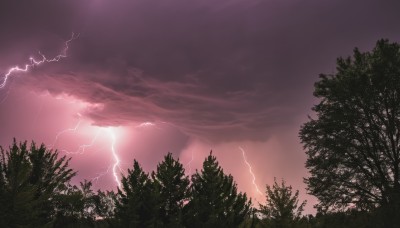 outdoors,sky,cloud,tree,no humans,cloudy sky,nature,scenery,forest,electricity,lightning,red sky,grass,green theme,landscape