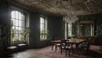 day,indoors,tree,cup,no humans,window,chair,table,sunlight,bottle,plant,scenery,couch,plate,drinking glass,wooden floor,glass,potted plant,lamp,candle,wine glass,carpet,candlestand,ceiling light,rug,chandelier,ceiling