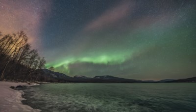 outdoors,sky,cloud,water,tree,no humans,night,ocean,grass,star (sky),nature,night sky,scenery,forest,starry sky,reflection,mountain,horizon,river,landscape,lake,aurora,milky way,signature,mountainous horizon,shore,shooting star